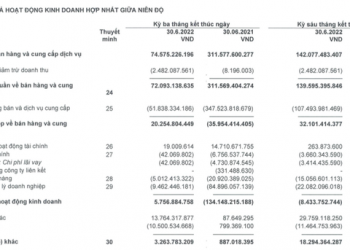 Thoát khỏi cái bóng ông Nguyễn Ảnh Nhượng Tống, nửa đầu năm Yeah1 (YEG) lãi 8 tỷ đồng dưới trướng chủ sở hữu mới - Ảnh 1.