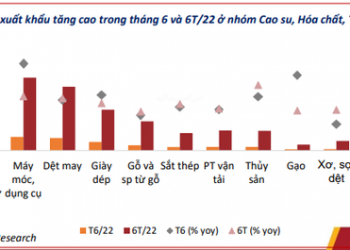 Thời điểm phù hợp tích lũy cổ phiếu tốt khi tăng trưởng kinh tế ở mức cao và lạm phát trong tầm kiểm soát - Ảnh 1.