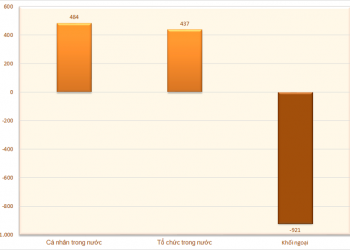 Trái ngược với khối ngoại, nhà đầu tư trong nước mua ròng trong tuần 4-8/7 - Ảnh 1.