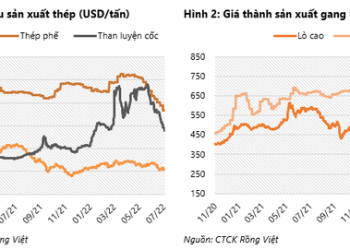 VDSC ước lợi nhuận quý 2 của Hoà Phát giảm 50% so với cùng kỳ, kết quả kinh doanh nửa cuối năm 2022 kỳ vọng ở mức thấp - Ảnh 1.