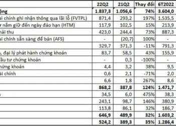 VNDirect (VND) bán VPB mua thêm HSG, lãi quý 2 tăng trưởng 35% so với cùng kỳ năm trước - Ảnh 1.