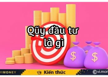ViMoney-Quỹ đầu tư