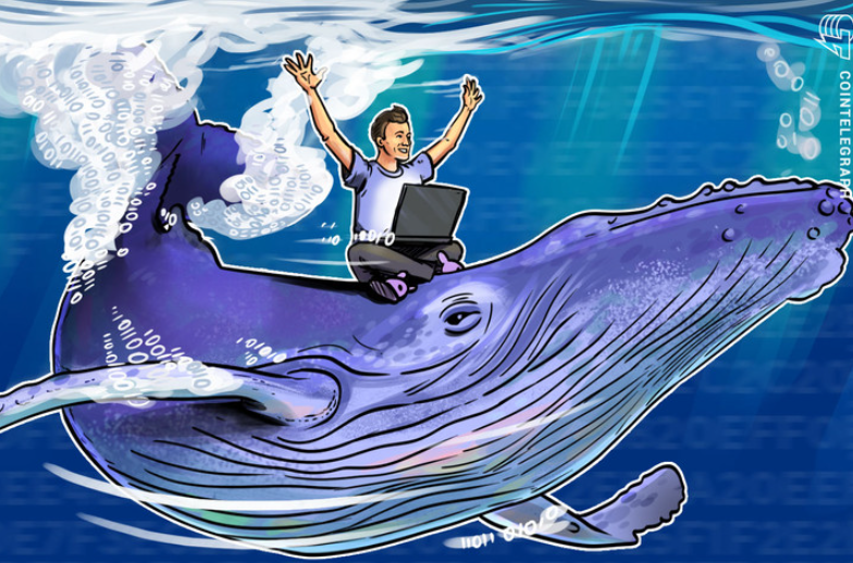 Tìm cá voi Bitcoin như thế nào?  