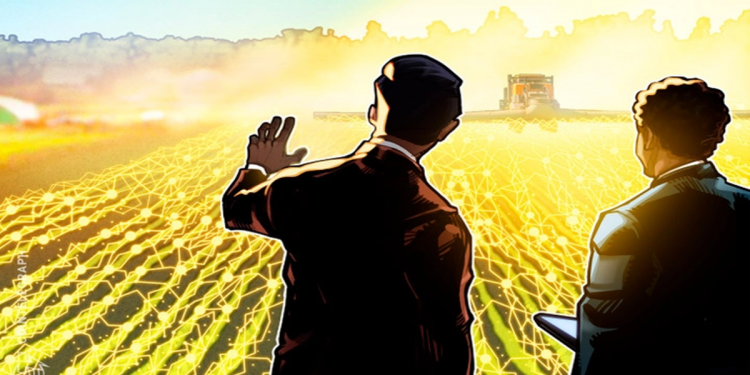 Ra mắt Sango Coin, điều gì thách thức Cộng hòa Trung Phi?