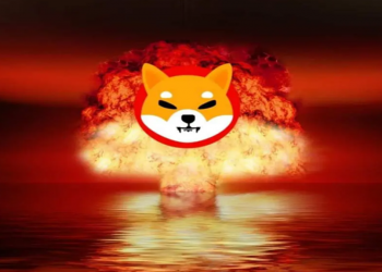 31 tỷ Shiba Inu đang ở đâu?