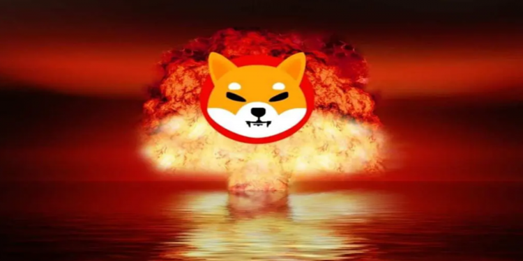 31 tỷ Shiba Inu đang ở đâu?