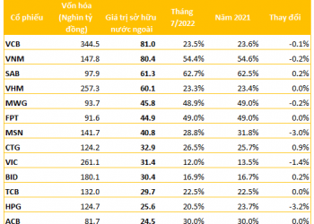 Sau thời gian dài bán ròng, vẫn có 14 cổ phiếu có sở hữu nước ngoài đạt trên 1 tỷ USD: Vietinbank được mua thêm nhiều nhất - Ảnh 1.