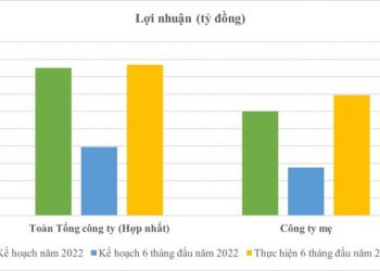 Viglacera (VGC) thắng lớn nhờ Kính xây dựng và Bất động sản, lợi nhuận 6 tháng vượt kế hoạch năm - Ảnh 1.