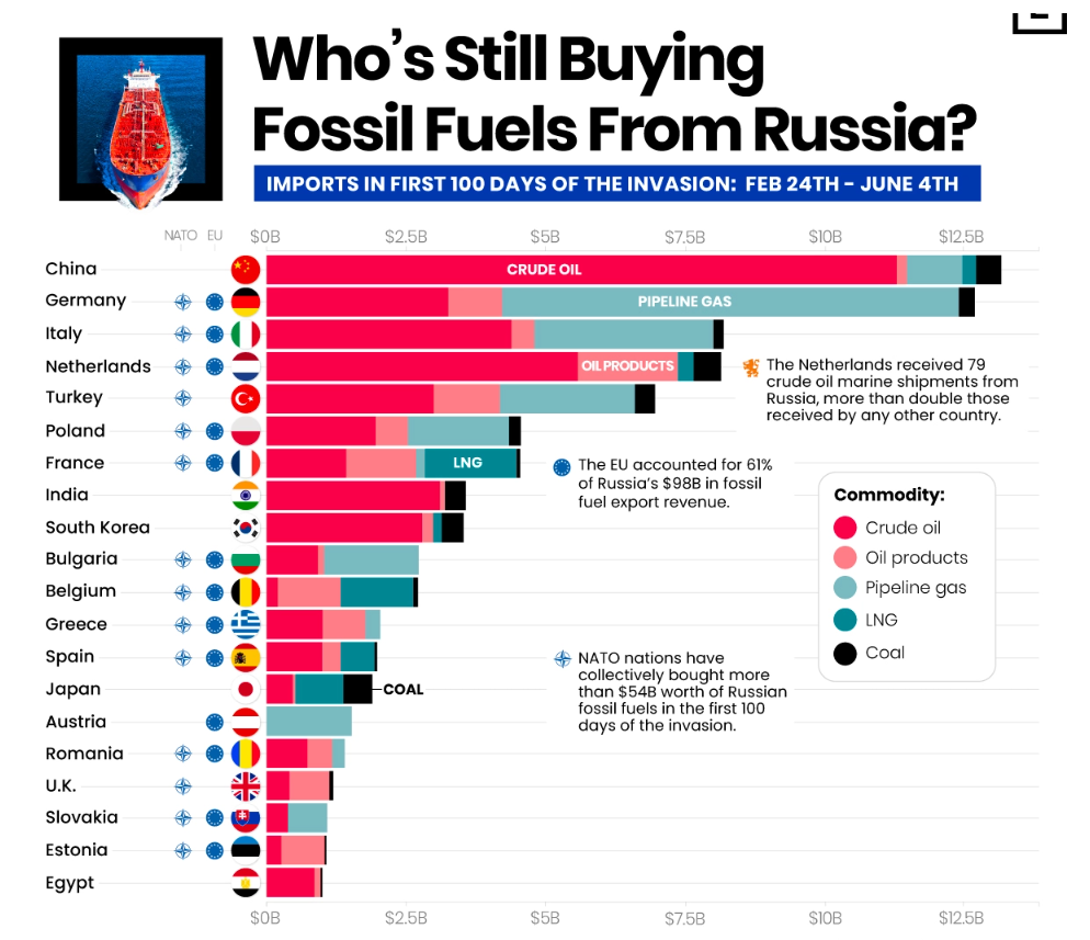 Ai vẫn đang mua khí đốt và dầu của Nga?