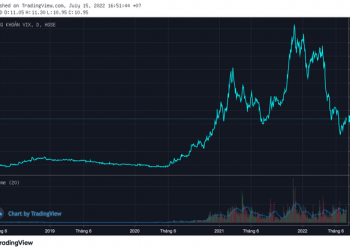 Vợ ông Nguyễn Văn Tuấn đăng ký mua vào 10 triệu cổ phiếu VIX khi thị giá hồi phục 35% từ đáy - Ảnh 1.