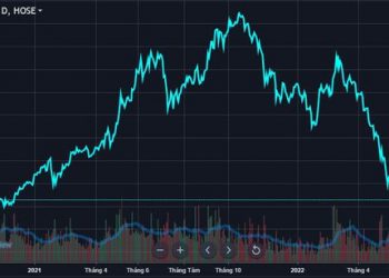Vốn hóa Hoa Sen mất hơn 16.000 tỷ chỉ sau 9 tháng - Ảnh 1.