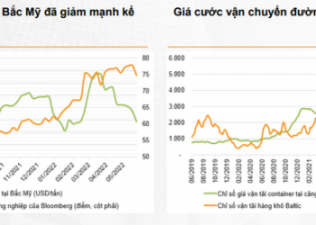 VNDirect: Vượt qua những thách thức bên ngoài, kinh tế Việt Nam có thể đạt tốc độ tăng trưởng cao hơn nửa cuối 2022 - Ảnh 1.