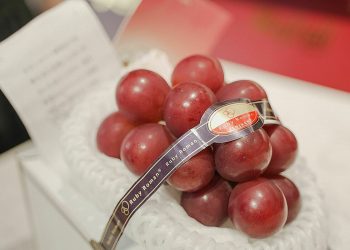 Nho Ruby Ruman: Giá từng bán 11 triệu/chùm, giờ chỉ còn 1/10?