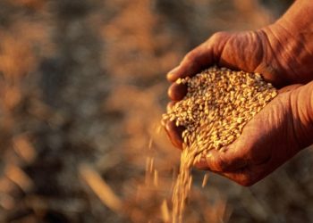 Các mặt hàng xuất khẩu mới được Nga yêu cầu thanh toán bằng đồng rúp