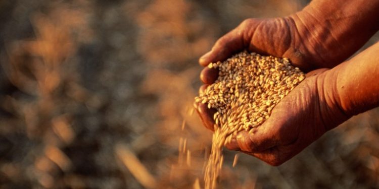 Các mặt hàng xuất khẩu mới được Nga yêu cầu thanh toán bằng đồng rúp