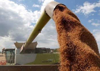 Thỏa thuận giải phóng ngũ cốc Ukraine vừa ký kết đã gặp thách thức