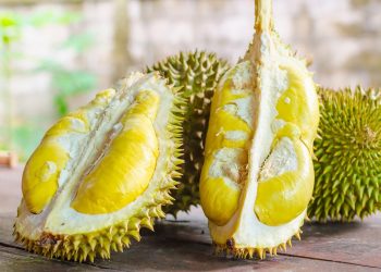 Trung Quốc nhập khẩu chính ngạch sầu riêng Việt qua tất cả cửa khẩu