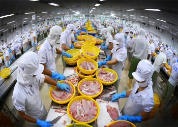 Hàng thủy sản Việt Nam được nới quy định chống dịch vào TQ