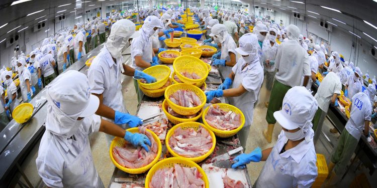 Hàng thủy sản Việt Nam được nới quy định chống dịch vào TQ