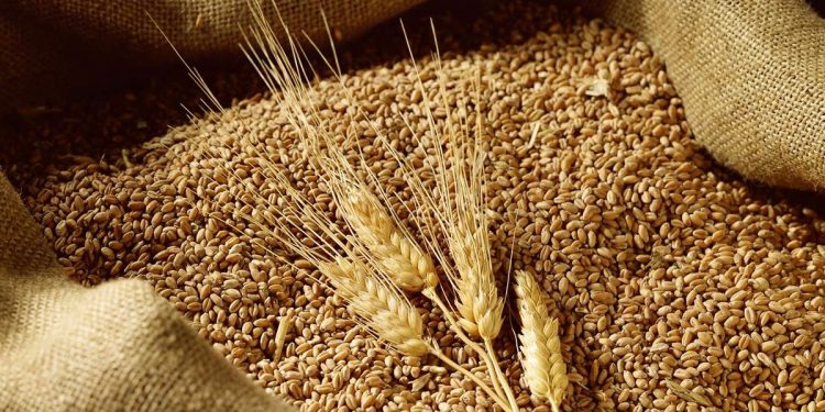 Tại sao Ukraine hủy giấy phép xuất khẩu lúa mỳ?