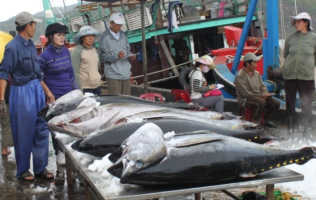Xuất khẩu cá ngừ tăng mạnh 6 tháng đầu năm