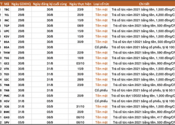 Lịch chốt quyền cổ tức tiền mặt và cổ phiếu tuần 29/8 - 5/9 - Ảnh 1.