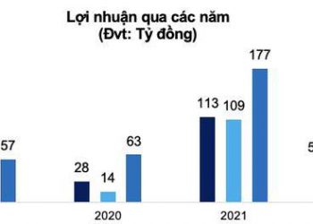 ADS doanh thu cho thuê CCN tăng gấp 5 lần trả cổ tức tháng 08/2022 - Ảnh 1.
