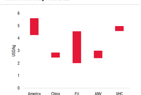 SSI Research: ANV xuất khẩu cá tra sang Mỹ, kết quả kinh doanh dự kiến tiếp tục lập đỉnh - Ảnh 1.