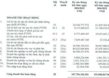 Agriseco báo lãi 87,4 tỷ đồng sau soát xét, hoàn thành gần 50% kế hoạch năm - Ảnh 1.
