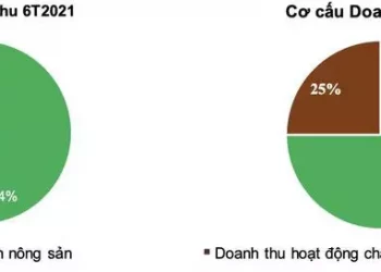 BAF dự kiến bán 600 tỷ đồng trái phiếu chuyển đổi cho IFC - Ảnh 1.