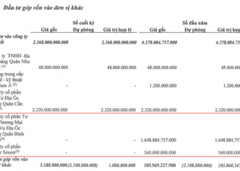 Bàn giao dự án Bình Trưng Đông và chuyển nhượng cổ phần tại 3 công ty con, Địa ốc Hoàng Quân (HQC) lãi đột biến 633% sau nửa năm với 15 tỷ - Ảnh 1.