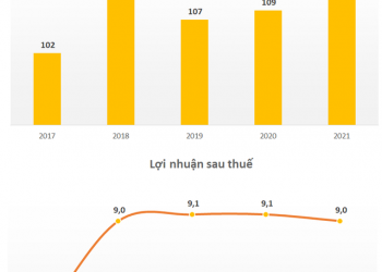 Bất ngờ với kết quả kinh doanh một ngành nghề độc, lạ trên thị trường chứng khoán - Ảnh 1.