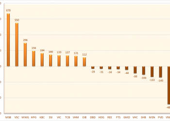 Cá nhân trong nước đẩy mạnh mua ròng hơn 3.200 tỷ đồng trong tuần 22-26/8, đột biến tại MSB và VSC - Ảnh 1.