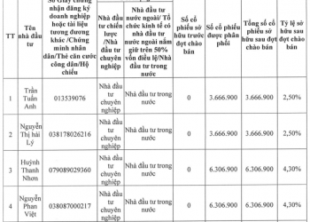 Chứng khoán SBS huy động 200 tỷ đồng trong đợt phát hành riêng lẻ 1.500 tỷ - Ảnh 1.