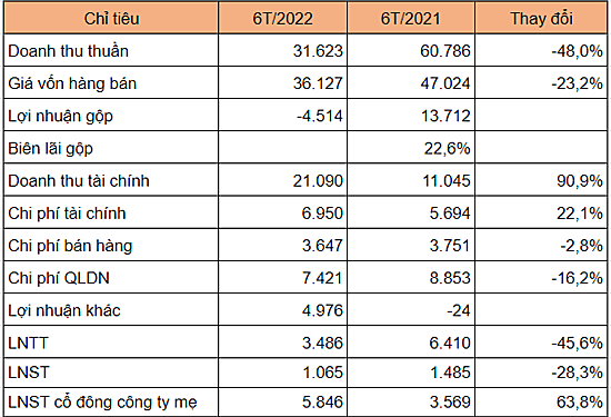 Có lãi sau nửa đầu năm, cổ phiếu VIC sắp được cấp margin? - Ảnh 1.