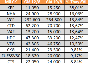 10 cổ phiếu tăng/giảm mạnh nhất tuần: Có mã lên gần gấp đôi - Ảnh 1.