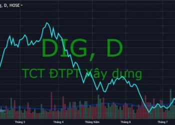 Thị giá DIG tăng 50% từ đáy, con trai Chủ tịch HĐQT không kịp thu xếp tài chính để mua cổ phiếu - Ảnh 1.