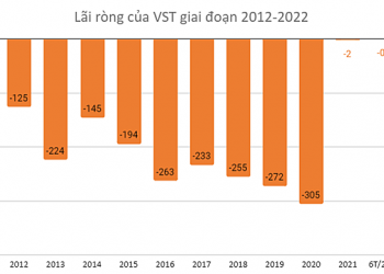 Công ty vận tải biển lỗ lũy kế gần 2.300 tỷ, nợ quá hạn hơn 550 tỷ đồng - Ảnh 1.