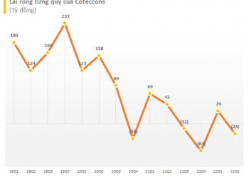 Coteccons có tân Tổng Giám đốc sau 2 năm bỏ trống và chịu sức ép lớn - Ảnh 1.