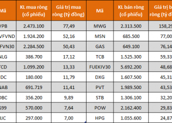 Cùng chiều với khối ngoại, tự doanh CTCK bán ròng trở lại 570 tỷ đồng trong tuần 22-26/8 - Ảnh 1.