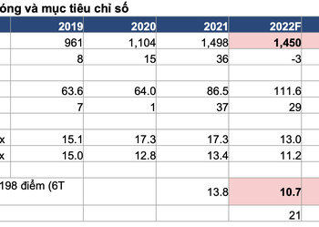 Đâu là hai yếu tố có thể ảnh hưởng đến tăng trưởng của TTCK Việt Nam nửa cuối năm 2022 và sang tới 2023? - Ảnh 1.