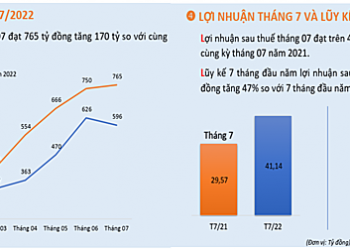 Dệt may TNG báo lãi tháng 7 tăng 39% - Ảnh 1.