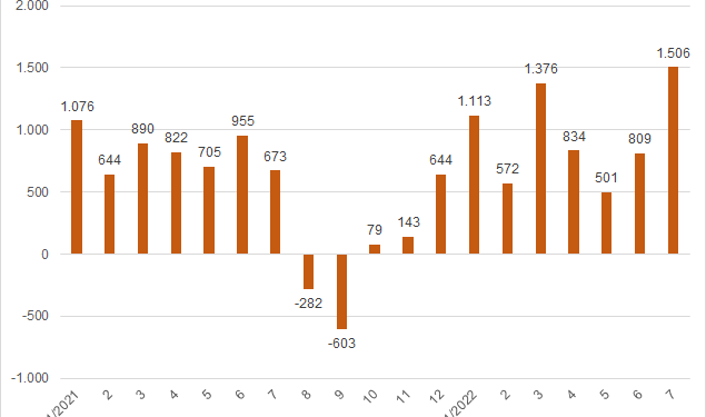 Dệt may Thành Công báo lãi tháng 7 gấp 2,2 lần do nền thấp cùng kỳ - Ảnh 1.