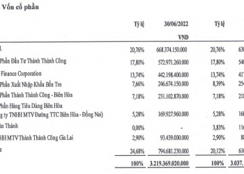 Điện Gia Lai (GEG) làm ăn ra sao trước khi bán 35% cổ phần cho tập đoàn năng lượng Nhật Bản? - Ảnh 1.