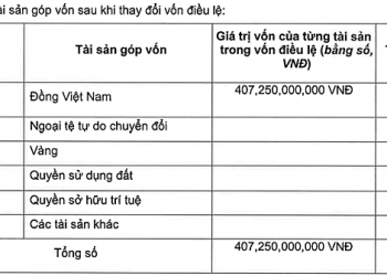 Digiworld tăng vốn cho công ty con gấp gần 3 lần lên hơn 407 tỷ đồng - Ảnh 1.