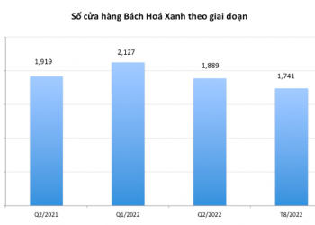 Ngành bán lẻ Việt Nam: Doanh nghiệp ngoại thu hẹp ảnh hưởng và sự bành trướng của những tay chơi mới Masan, MWG - Ảnh 1.