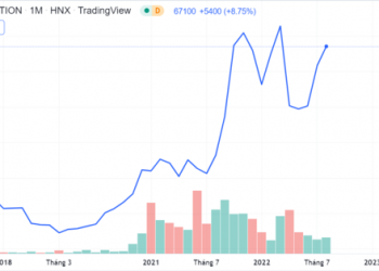 Gần 30 triệu cổ phiếu IDC niêm yết bổ sung từ ngày 5/9 - Ảnh 1.