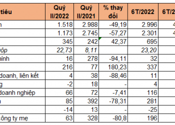 Gánh nặng chi phí lãi vay và tỷ giá của 3 dự án điện gió, PC1 báo lãi quý II giảm 81% - Ảnh 1.