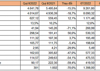 Gelex Electric báo lãi ròng quý II giảm hơn 59% do hoạt động tài chính - Ảnh 1.