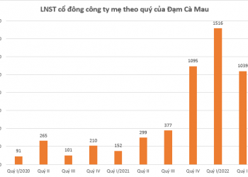 Giá bán ure hạ nhiệt, lợi nhuận doanh nghiệp phân bón giảm tốc trong quý II - Ảnh 1.